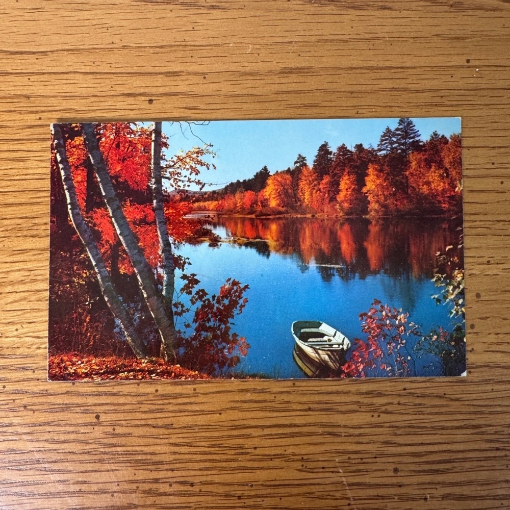 1966 Postcard Autumn Fall Leaves Scenic Art Milwaukee Wisconsin US Stamp